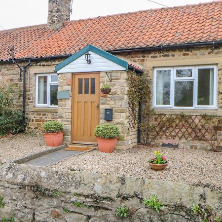 Rose Cottage Darlington  Exteriör bild